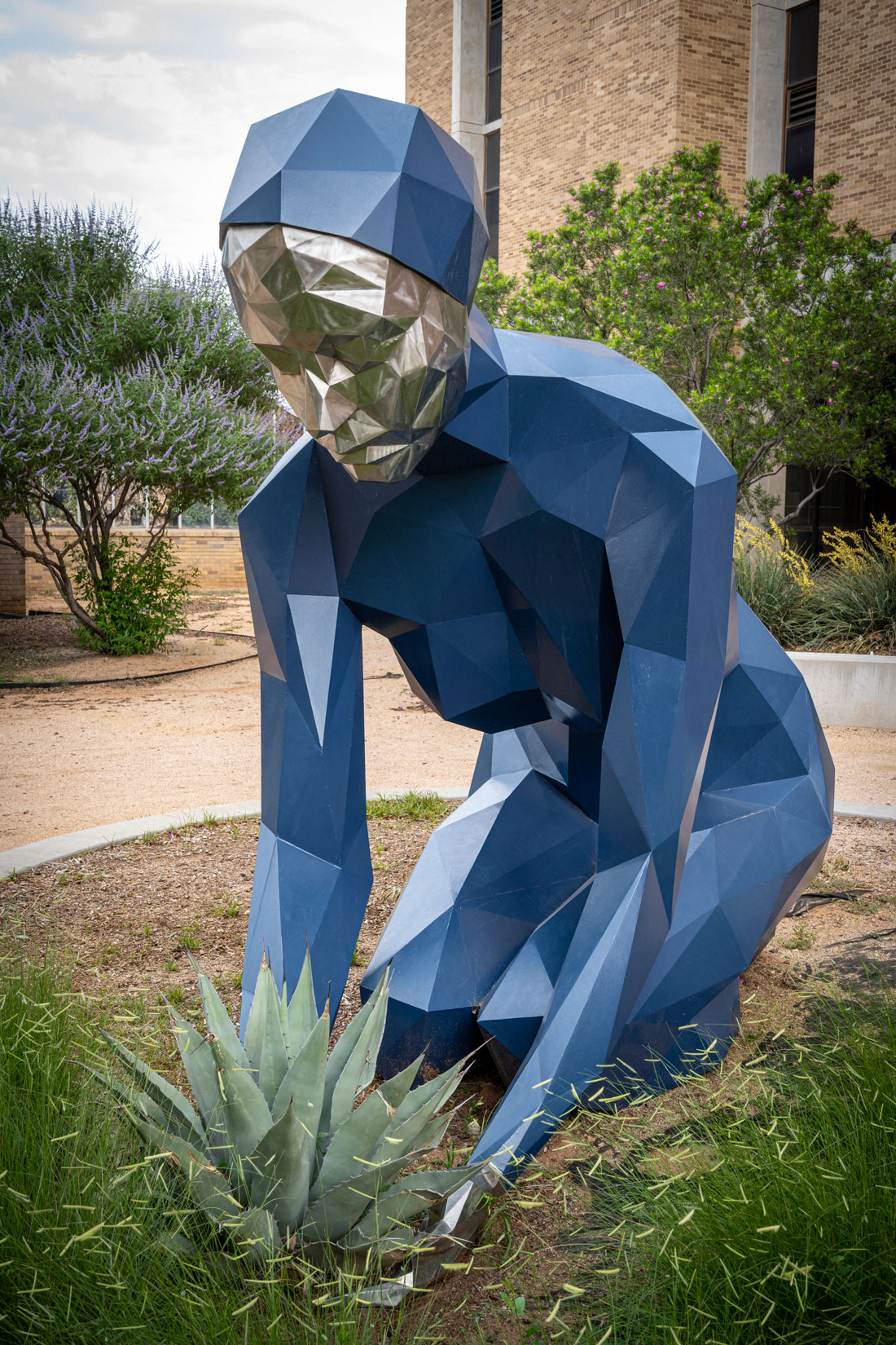 Agave Dreams - Public Art Collection | Texas Tech University System