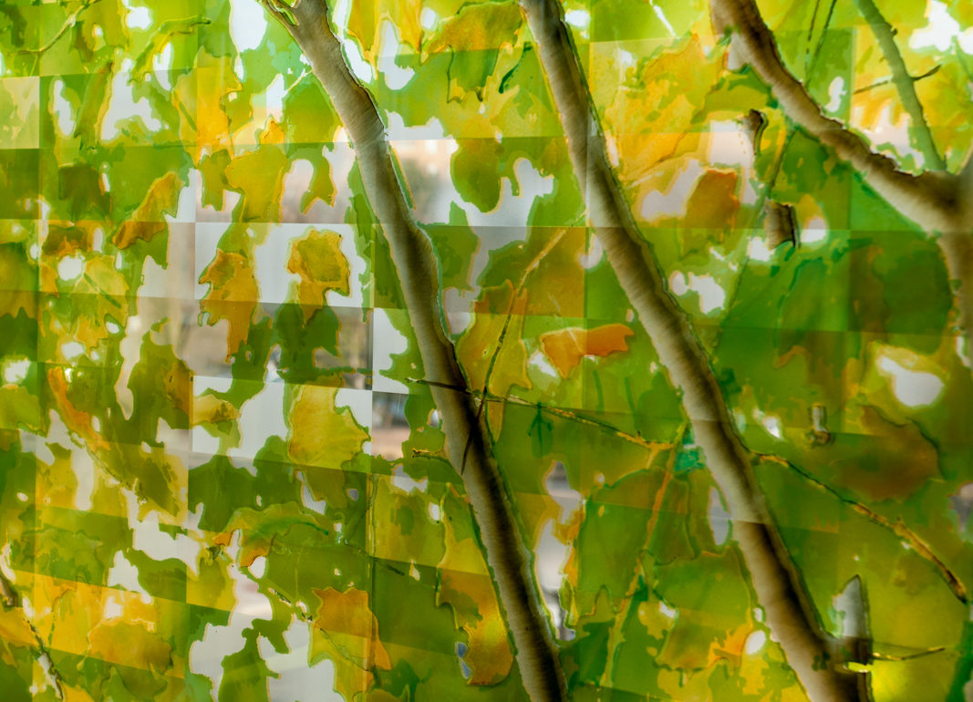 Summer Tree Autumn Tree Detail