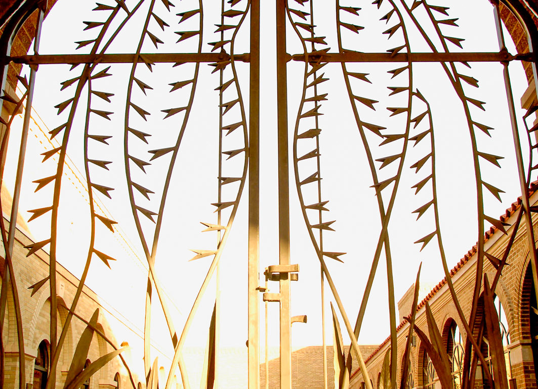 Growth on the Plains