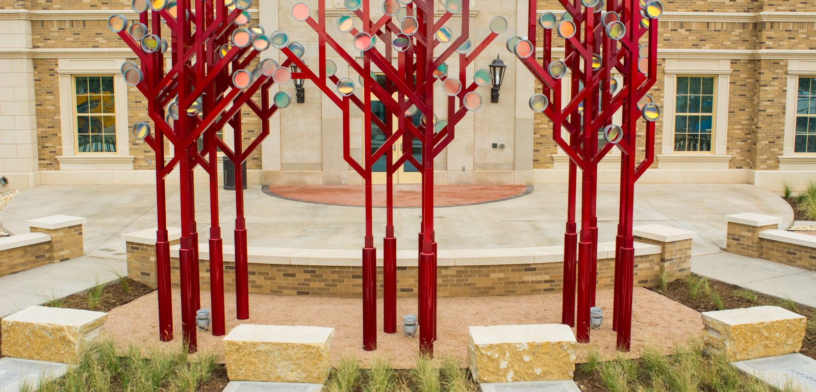 Illuminated Arboreal Data Codes